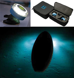  Submersible LED Lights