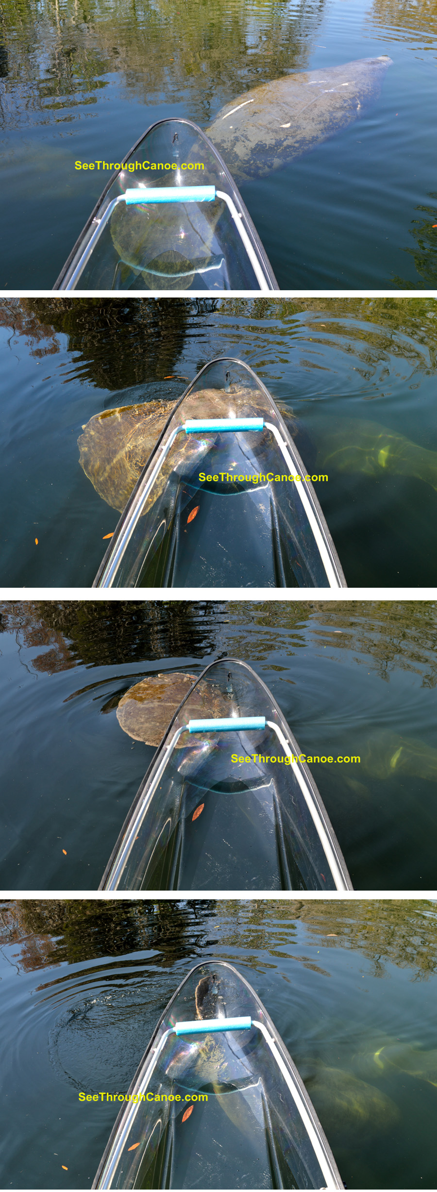 Transparent Canoe Pictures